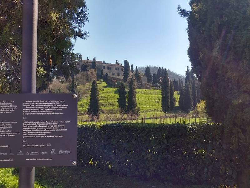 Parco: Giornata della Poesia e delle Foreste nel Parco Petrarca.  Di Claudia Baldin
