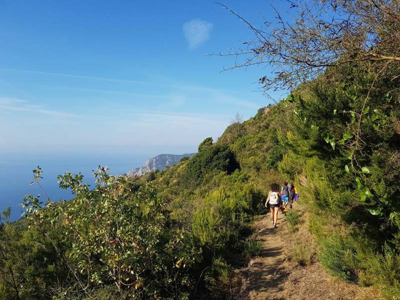 Parco: I percorsi naturalistici e letterari del Parco Letterario Eugenio Montale e delle Cinque Terre, 2019