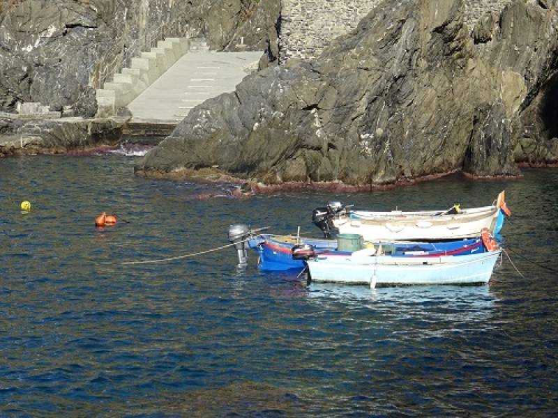 Foto Percorsi naturalistici e letterari con Montale nelle Cinque Terre 1