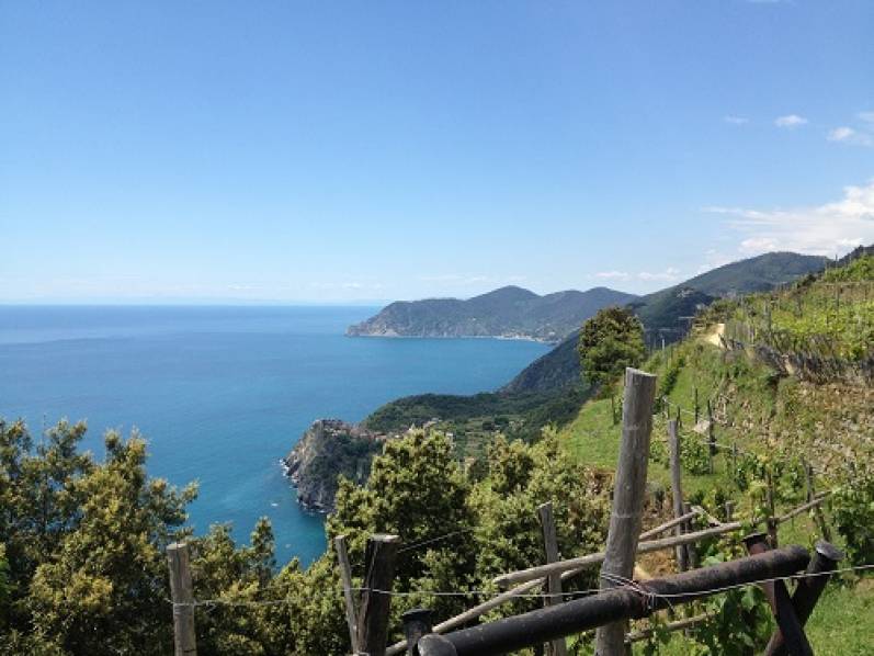 Foto Percorsi naturalistici e letterari con Montale nelle Cinque Terre: Aprile- Ottobre 2018 4