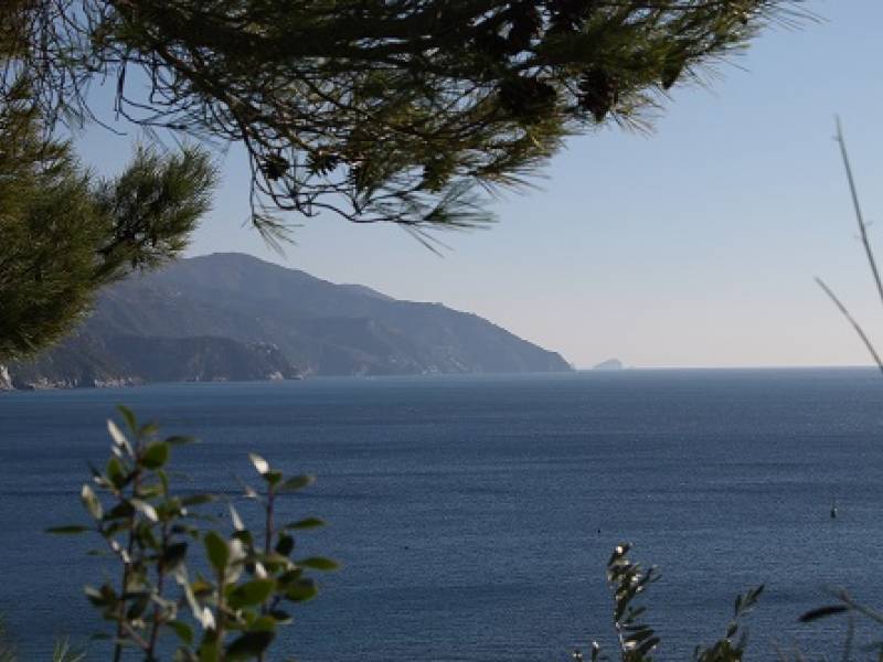 Foto Tra gli scogli parlotta la maretta: aperitivo letterario a Monterosso al mare 1