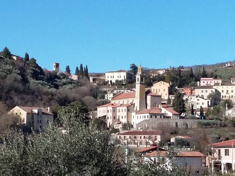 Foto Visite guidate ad Arquà Petrarca, il Borgo del Poeta 1
