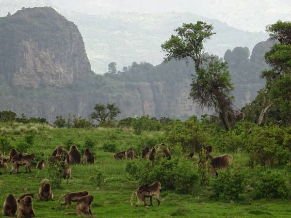 Foto Appunti di viaggio in Etiopia, dove tutto ebbe inizio. Di Stanislao de Marsanich 49