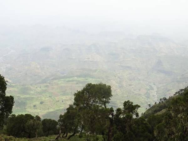 Foto Appunti di viaggio in Etiopia, dove tutto ebbe inizio. Di Stanislao de Marsanich 95