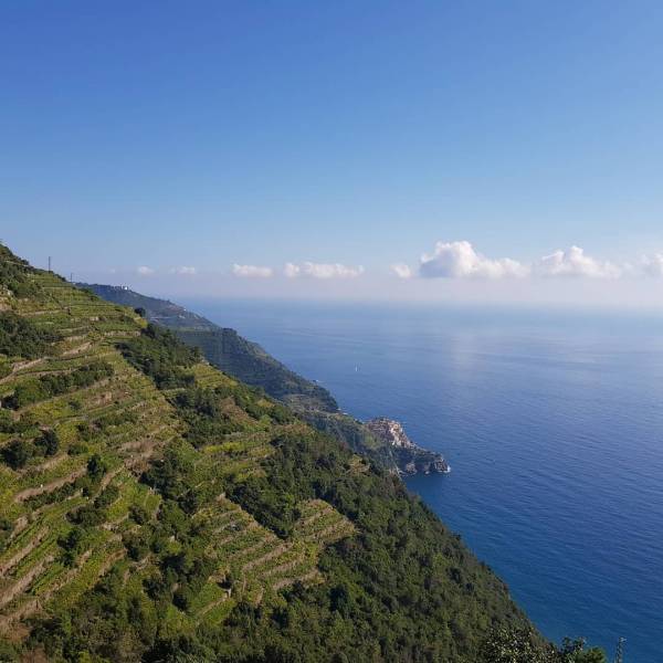 Foto I percorsi naturalistico letterari del Parco Letterario Eugenio Montale e delle Cinque Terre - 2021 3