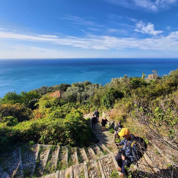Foto Camminare tra i versi e la natura di Montale nel Parco Nazionale delle Cinque Terre 10